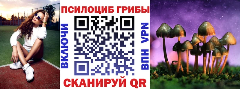 Галлюциногенные грибы мицелий  Лосино-Петровский 
