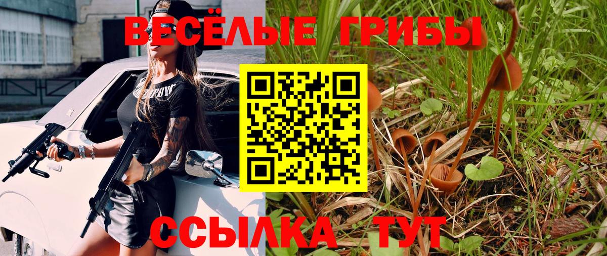 Псилоцибиновые грибы прущие грибы  Лосино-Петровский 