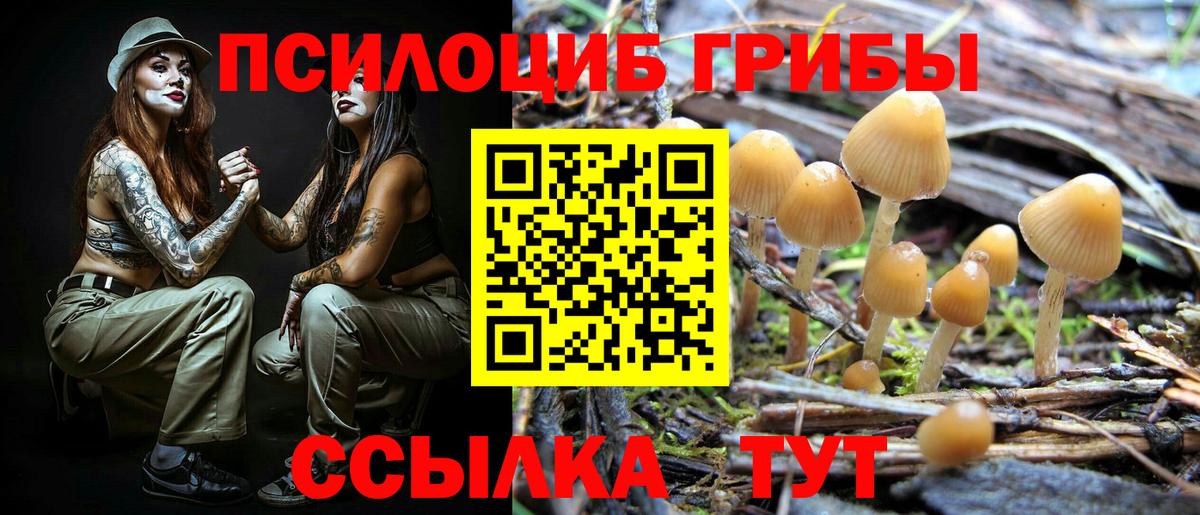 Лосино-Петровский  МЕФ кристаллы  Бошки Шишки  Гашиш  ГАШИШ  NBOMe  Каннабис  A-PVP СОЛЬ   MDMA  КОКАИН 