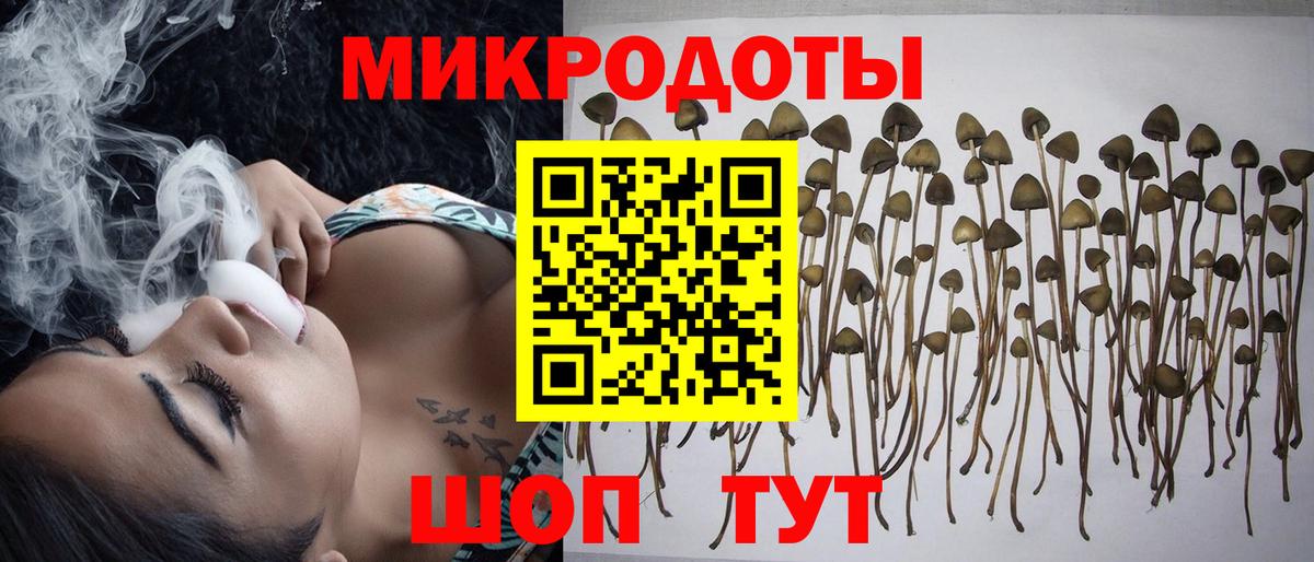 Галлюциногенные грибы MAGIC MUSHROOMS Лосино-Петровский