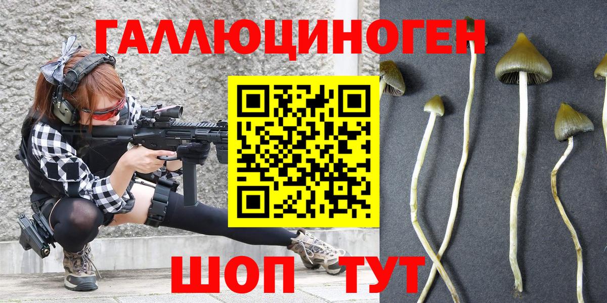 Лосино-Петровский  Галлюциногенные грибы MAGIC MUSHROOMS  Вход с VPN  Галлюциногенные грибы Cubensis 