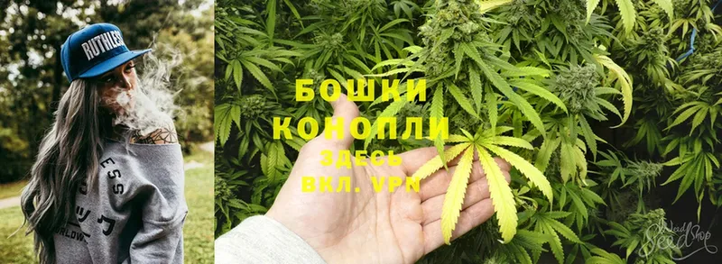 Бошки марихуана OG Kush  Лосино-Петровский 